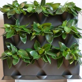 Plantenwand, verticale tuin - voor 9 planten uw eigen verticale plantenwand.