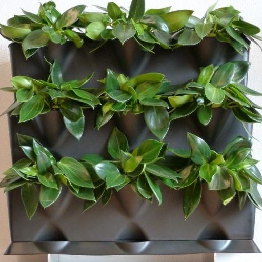 plantenwand, verticale tuin - voor 9 planten uw eigen verticale