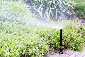 Beregeningsinstallatie onderhoud