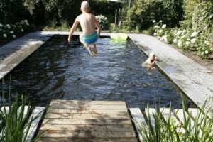 Zwemvijvers zijn leverbaar in elke vorm en passen in iedere tuin!