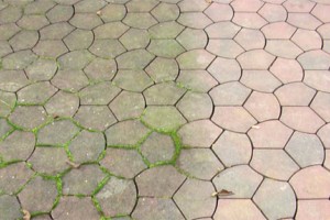Voorkom dat uw bestrating groen wordt