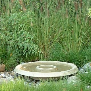 Vogeldrinkschaal 60 cm (Vogeldrinkbak)