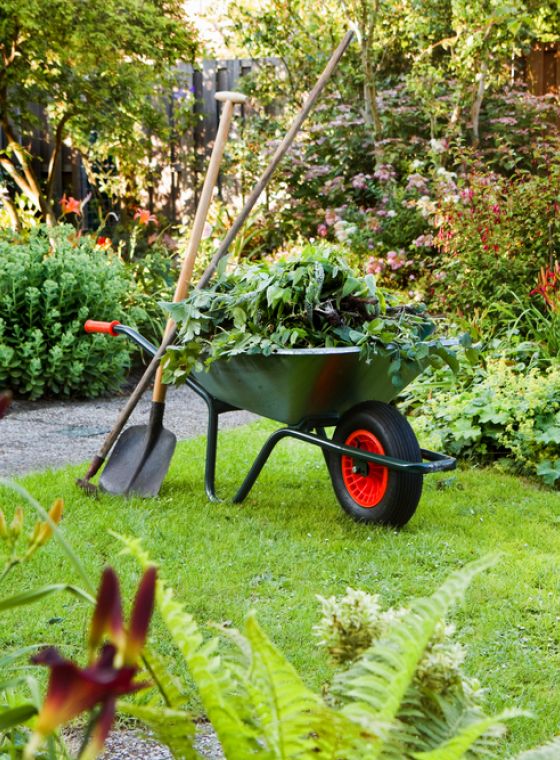 Tuintips voor augustus