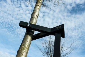 Een stijlvolle boomondersteuning