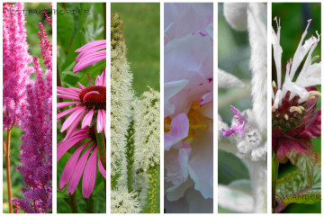 Cottage border 2 (3 m2)