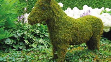 Creatief met mos - Dierenfiguren - tuinornamenten