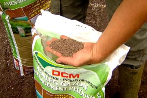 Bemesting verschillen in eigen tuin