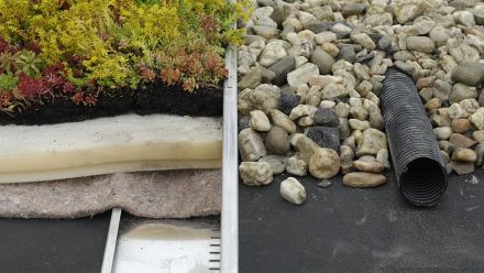Simplex Groendak Systeem, Sedumroll op schuimplaat (Sedumdak, Sedumrollen, dakbeplanting)