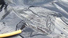 AquaFlexiLiner voorverpakt 0,6 mm EPDM vijverfolie (Rubberfolie)