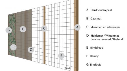 Natuurlijke tuinafscheidingen, pakketten 3, 6, 9, 12, 15, 18 meter (Natuurlijke schuttingen, Klimopschermen, Afscheiding van klimop)