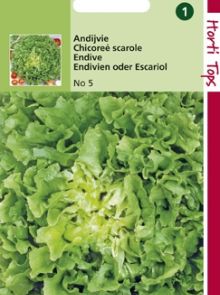 Andijvie Nummer Vijf (zaad Cichorum endivia)