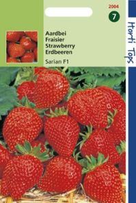Aardbei Sarian F1 (zaad Fragaria)