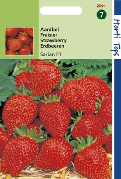 Aardbei Sarian F1 (zaad Fragaria)