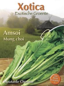 Amsoi Mung Choi (zaad Brassica juncea var. rugosa)