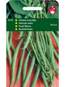 Stamprinses Lipsos (Stamslaboon zaden, Chineese boontjes, extra fijn 100 gram)