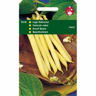 Stamprinses Major (Stamslaboon, wasboon, gele boterboon 50 gram)