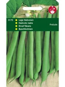 Stamprinses Prelude (Stamslabonen zaad 250 gram)