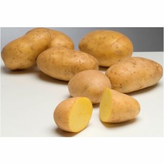 Agria pootaardappelen (1 kg, late kruimige aardappel)