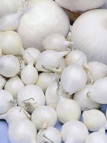 Snowball plantuien (1 kilogram, Helderwitte uien, van binnen en van buiten)