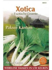 Paksoi Kanton (zaad)
