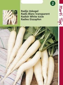 Radijs Ijskegel (lange witte radijs, zaad)
