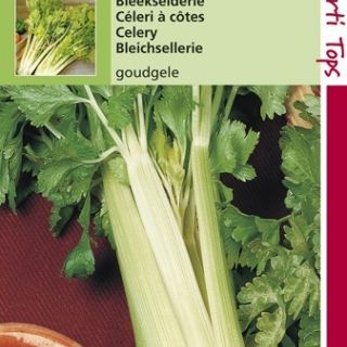 Selderie Goudgele Zelfblekende (zaad Franse selderie)
