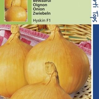 Uien Bolronde gele Hyskin f1 (zaaiui, zaad)