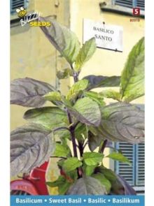 Basilicum Santo (Heilige Basilicum, zaad)