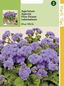 Ageratum mexicanum (Leverbalsum, Mexicaantje, zaad)