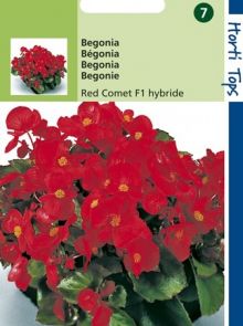 Begonia Rode Komeet (f1 hybride zaad)