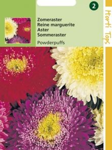 Callistephus chinensis boeket Powderpuffs (zaad zomeraster)