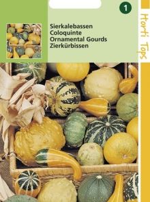 Cucurbita pepo (zaad Sierkalebassen mengsel)
