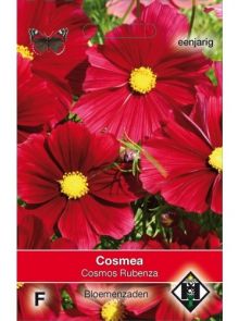 Cosmos bipinnatus Rubenza (zaad wijnrode Cosmos)