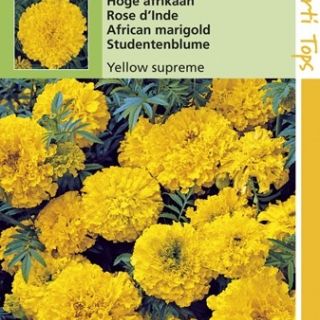 Tagetes erecta Yellow Supreme (zaad hoge Afrikaan grootbloemig geel)