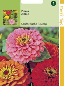 Zinnia elegans Californische Reuzen (grootbloemige gevulde Zinnia zaadmengsel)
