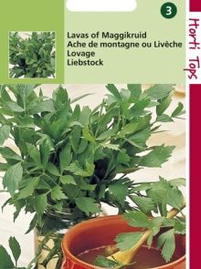 Lavas of Maggikruid (zaad Levisticum officinalis)