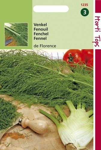 Venkel De Florence Zaad Foeniculum Knolvenkel De Tuinen Van Appeltern Venkel De Florence Zaad Foeniculum Knolvenkel De Tuinen Van Appeltern