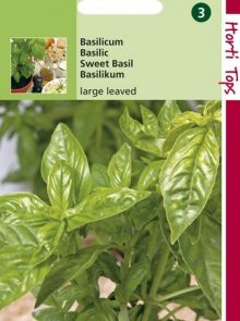 Basilicum grove (zaad)
