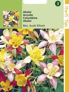 Aquilegia hybrida Mrs. Scott Elliot (zaad Akelei, gemengd)