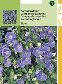 Campanula carpatica Blauw (zaad Karpatenklokje)
