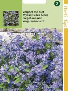 Myosotis alpestris (zaad Vergeet-me-nietje)