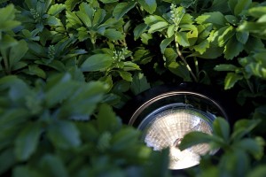 De aanleg van verlichting