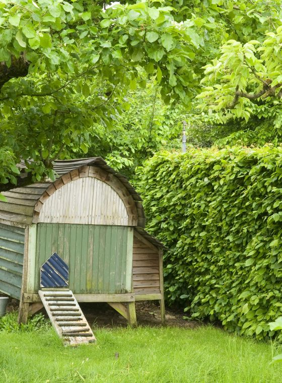Tuin met boomgaardgevoel!