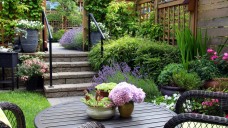 Hoe ontwerp je een kleine tuin?