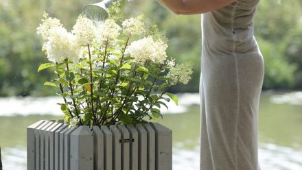 Houten plantenbakken