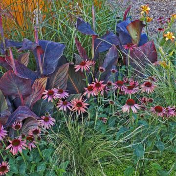 Tips voor de inrichting van een vaste planten border