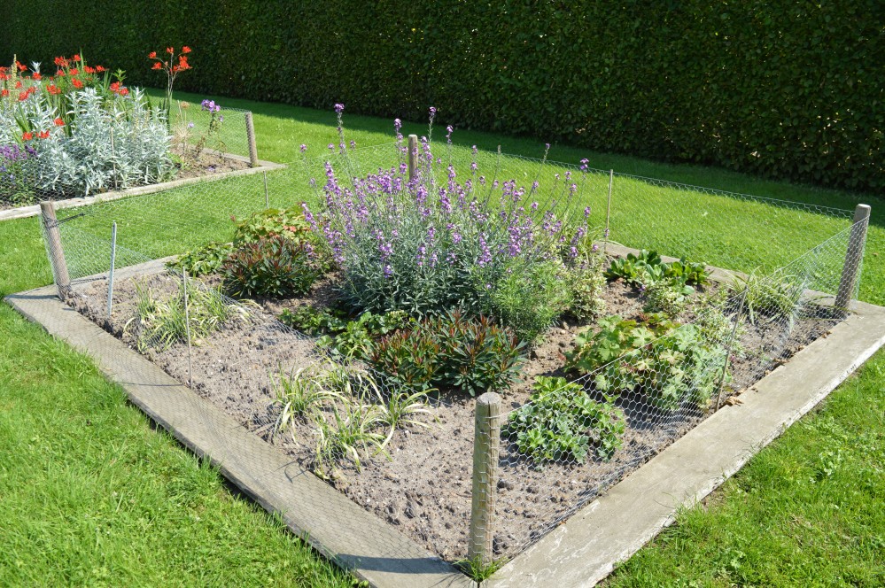 Wintergroene border met bladplanten