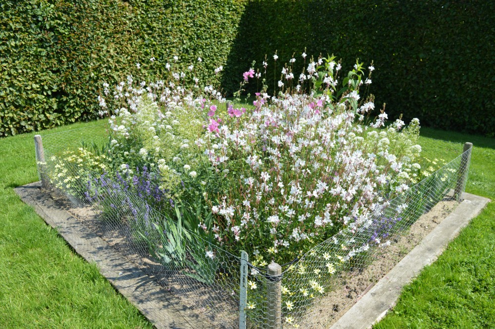 Droge border