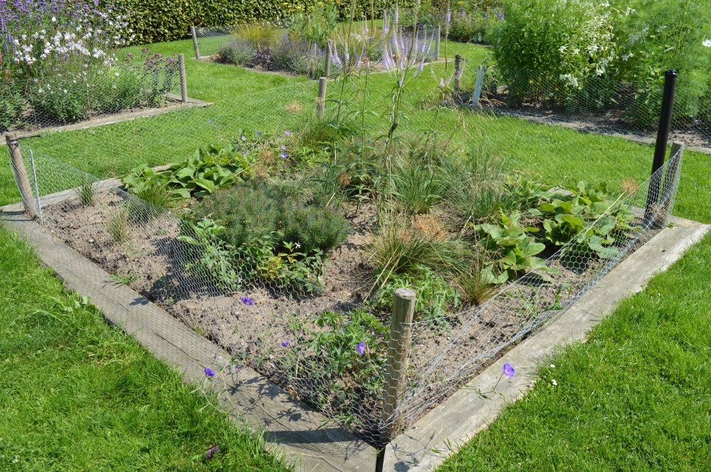 Geel/Violet border