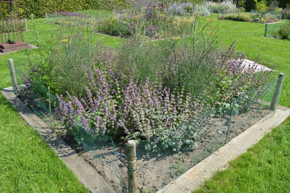 Border met weefplanten